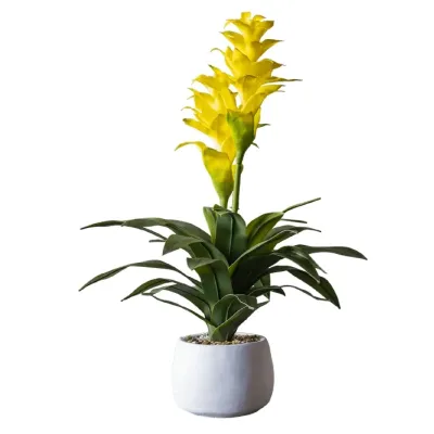 Planta Bromelia Amarilla