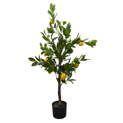 Planta Limonero Verde Y Amarillo